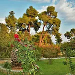 Green, White & By Dimitrios Ballas In Kriopigi, Halkidiki, Greece Σπίτι διακοπών