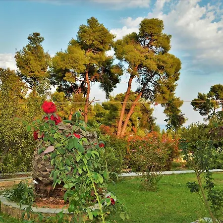 Green, White & By Dimitrios Ballas In Kriopigi, Halkidiki, Greece بيت للعطل